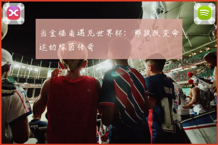 当金福南遇见世界杯:那段改变命运的绿茵传奇