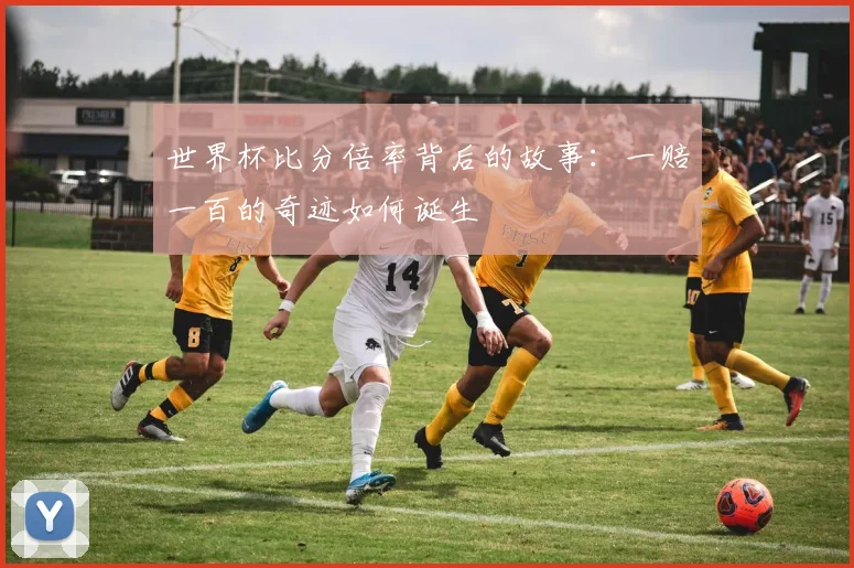 世界杯比分倍率背后的故事:一赔一百的奇迹如何诞生