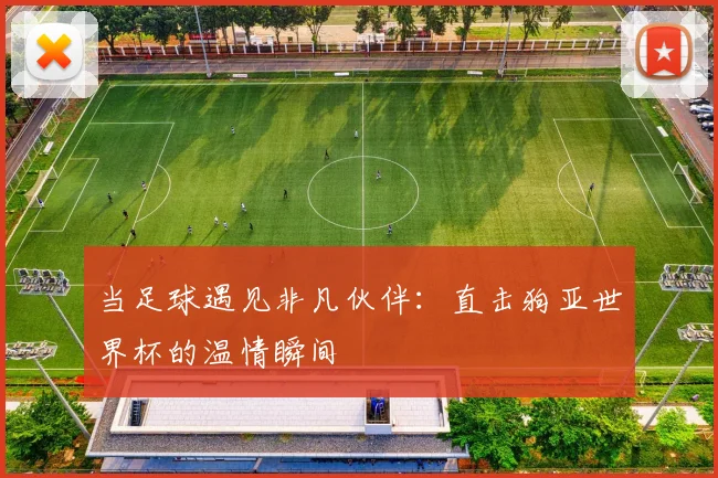 当足球遇见非凡伙伴：直击狗亚世界杯的温情瞬间