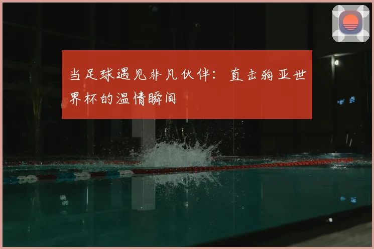 当足球遇见非凡伙伴:直击狗亚世界杯的温情瞬间