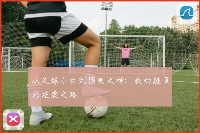 从足球小白到预测大神：我的胜负彩逆袭之路