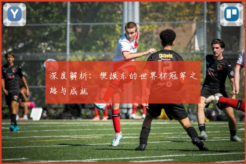 深度解析：樊振东的世界杯冠军之路与成就