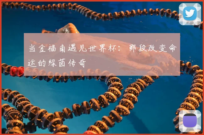 当金福南遇见世界杯:那段改变命运的绿茵传奇